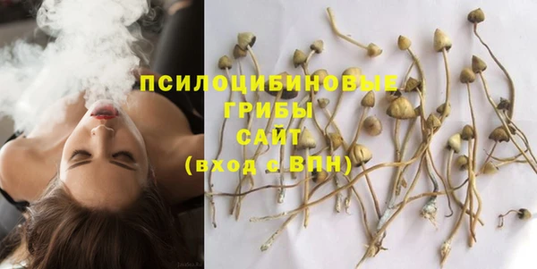 a pvp Вязьма