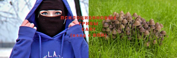 a pvp Вязьма