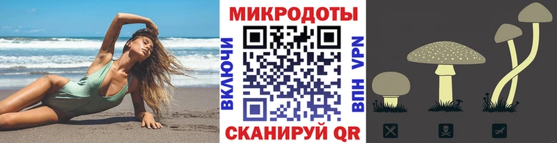 KRAKEN ССЫЛКА  Железногорск-Илимский  нарко площадка Telegram  Псилоцибиновые грибы прущие грибы 